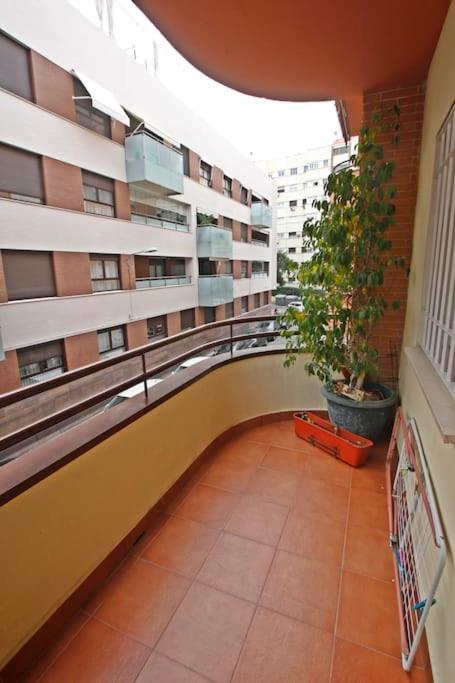 Sevilla Clasica: Amigos Y Familia. Parking Gratis! Eksteriør bilde
